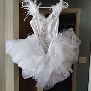 Women's Ballet Costume, Size Adult Women's Small